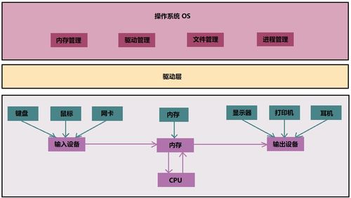 初识操作系统 信息处理和存储支持服务