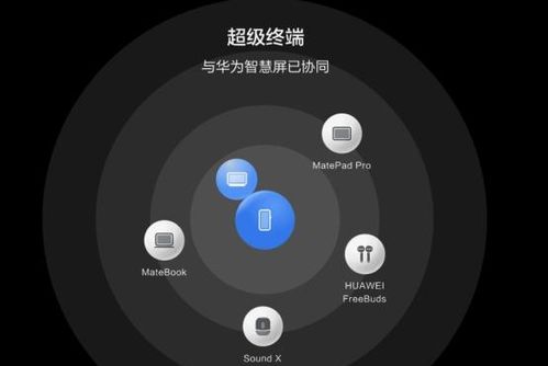 华为存储扩容与鸿蒙升级 让老机型“再一次心动”